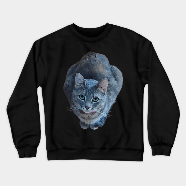 Jelly Bean - Pretty Cat Crewneck Sweatshirt by A2Gretchen